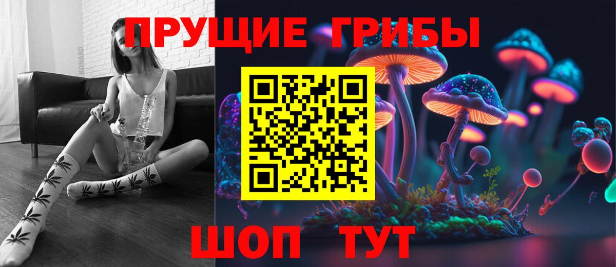 Галлюциногенные грибы мицелий  купить закладку  Шатура  Вход с VPN 